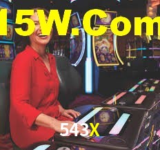Programa VIP 543X