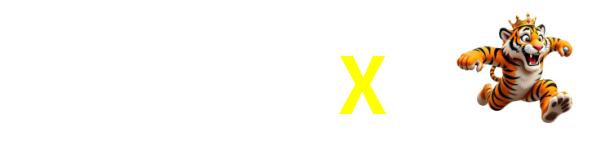 543X